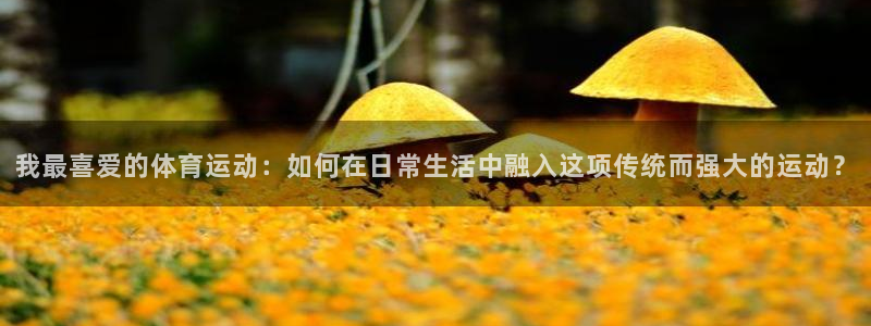 vsport体育：我最喜爱的体育运动：如何在日常生活中融入这项传统而强大的运动？
