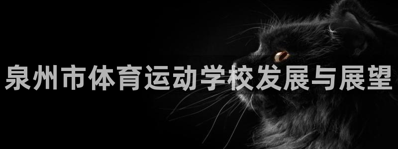 vsport体育在线官网：泉州市体育运动学校发展与展望