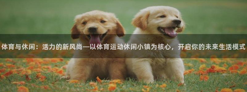 vsport体育：体育与休闲：活力的新风尚—以体育运动休闲小镇为核心，开启你的未来生活模式