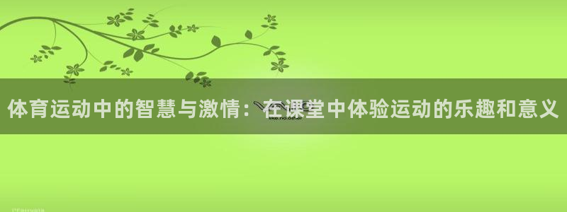 vsport体育：体育运动中的智慧与激情：在课堂中体验运动的乐趣和意义