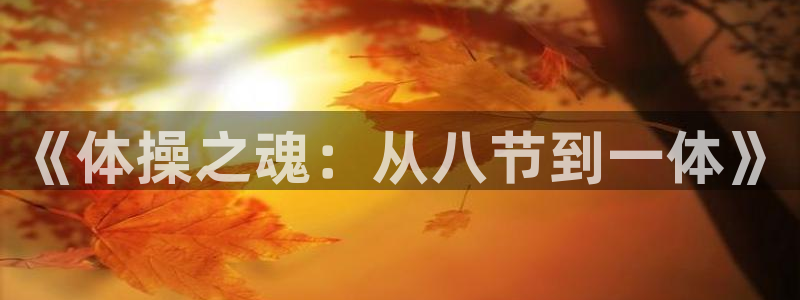 vsport体育在线官网：《体操之魂：从八节到一体》