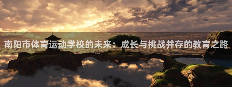 vsport体育在线官网：南阳市体育运动学校的未来：成长与挑战并存的教育之路