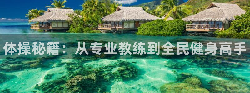 vsport体育：体操秘籍：从专业教练到全民健身高手