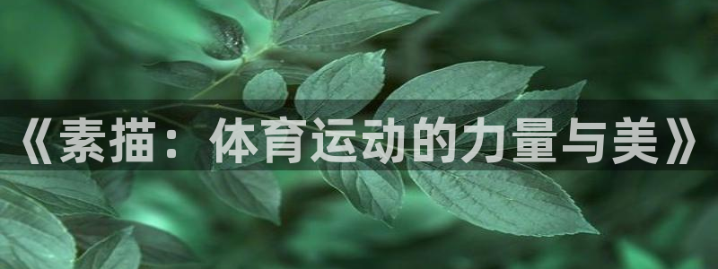 vsport体育在线官网：《素描：体育运动的力量与美》
