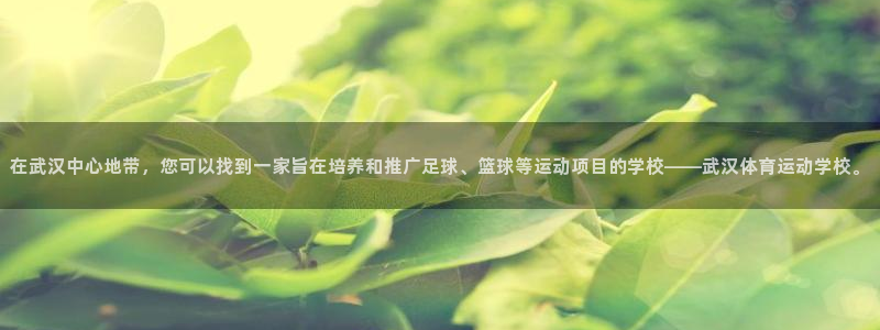vsport体育在线官网