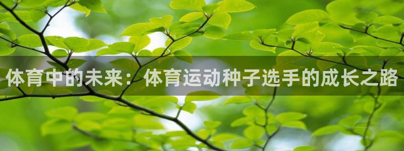 vsport体育在线官网