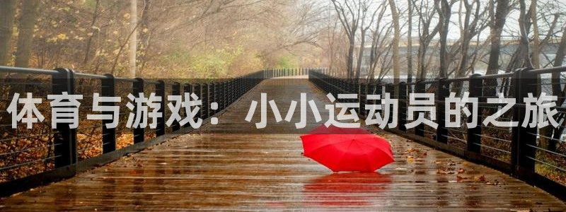 vsport体育在线官网