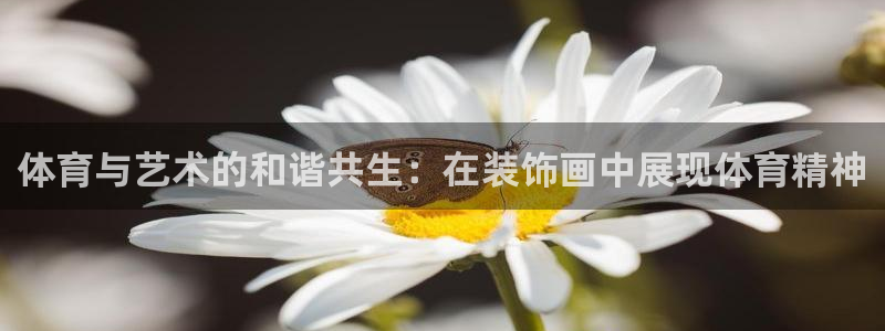 vsport体育：体育与艺术的和谐共生：在装饰画中展现体育精神